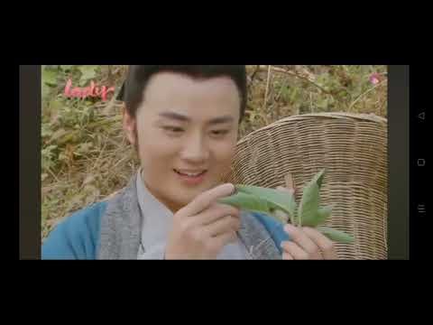 Bảo Vật Thần Y Bảo Vật Thần Y