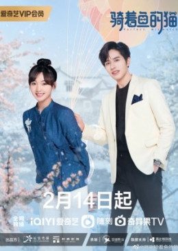 Mèo Cưỡi Cá
