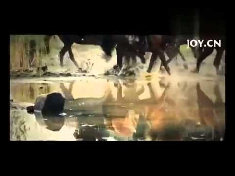 Quan Âm Không Chịu Đi Quan Âm Không Chịu Đi
