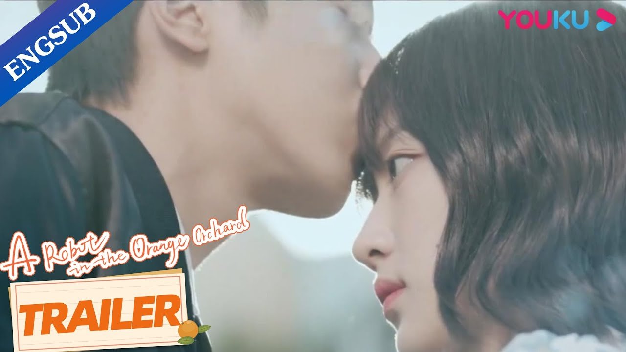 Xin Chào, Người Yêu Quất Tử Của Tôi Xin Chào, Người Yêu Quất Tử Của Tôi